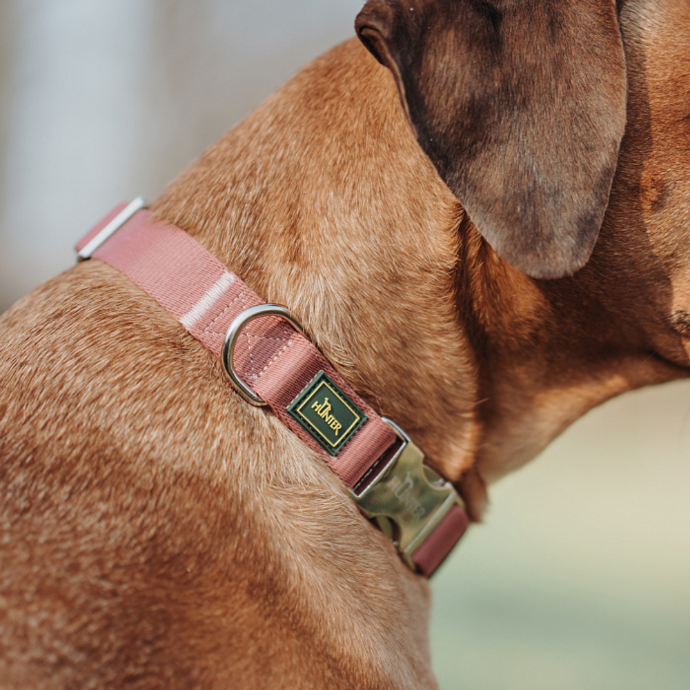 Hunter ошейник для собак ALU-Strong Inari нейлон с металлической застежкой, пепельная роза