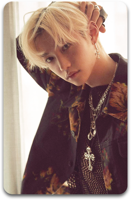 Карта / STRAY KIDS #3118