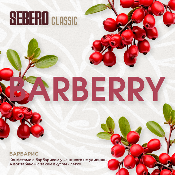 Sebero - Barberry (100г)