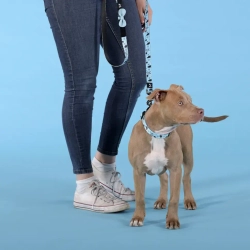United pets complete me writing ошейник для собак, s 26-40/1,6 см, голубой с рисунком