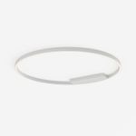 Потолочный светильник Maytoni MOD058CL-L65WK