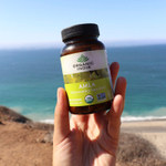 Organic India, Амла, 90 вегетарианских капсул (500 мг на капсулу)
