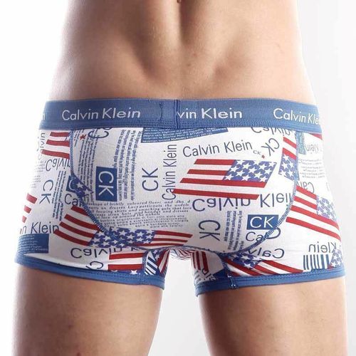 Мужские трусы хипсы Calvin Klein 365 print Blue America