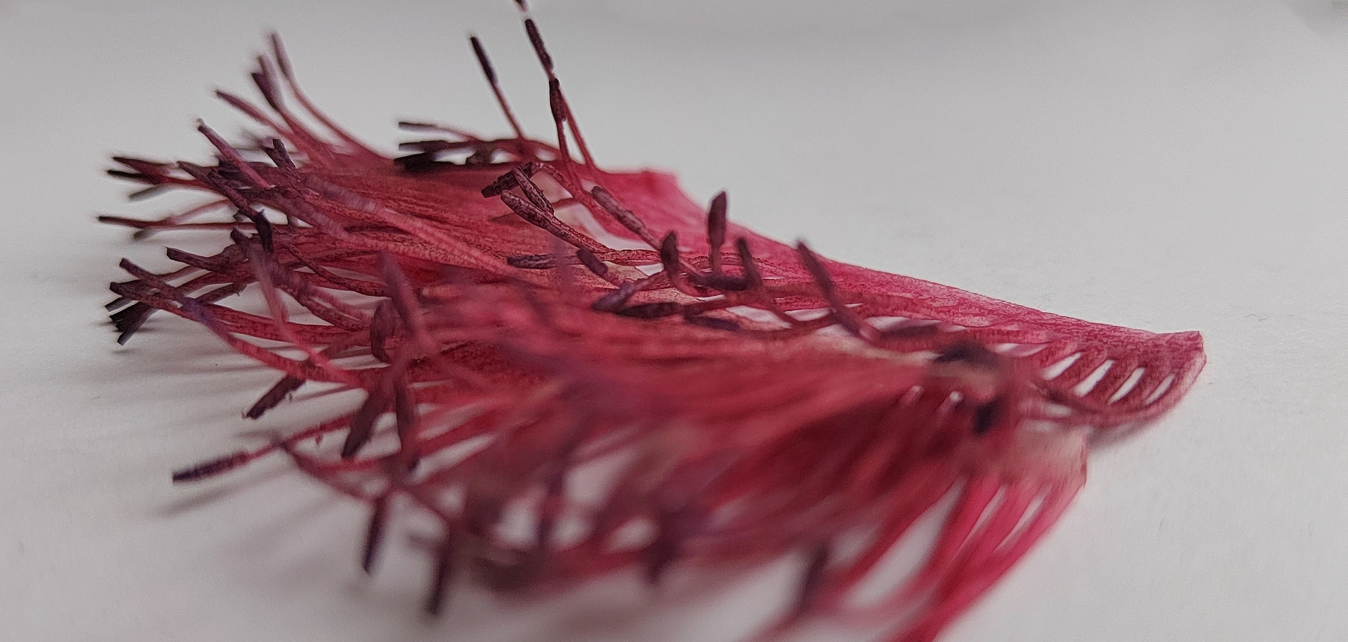 Хочешь лепить такие же реалистичные тычинки?