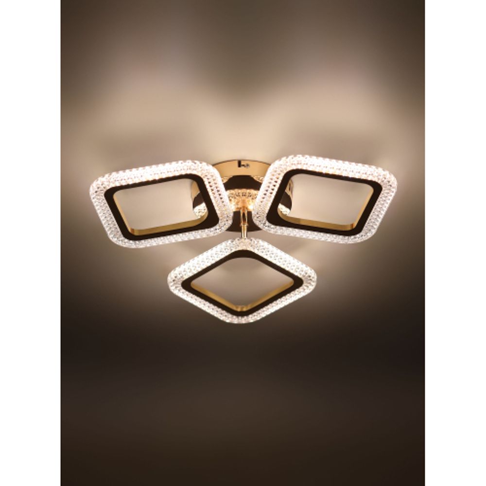 Светильник потолочный светодиодный Rivoli Dorinata 6179-701 LED 48Вт 3000-6000К с пультом | Rivoli