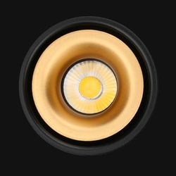 Потолочный Светильник Agenda Black+Gold 10W By Imperiumloft