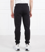 Спортивные штаны EA7 - черный(3RPP78 PJARZ)