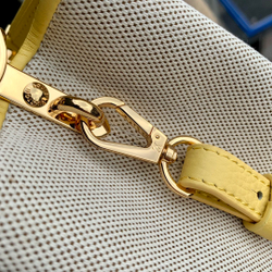 Louis Vuitton Capucines Mini