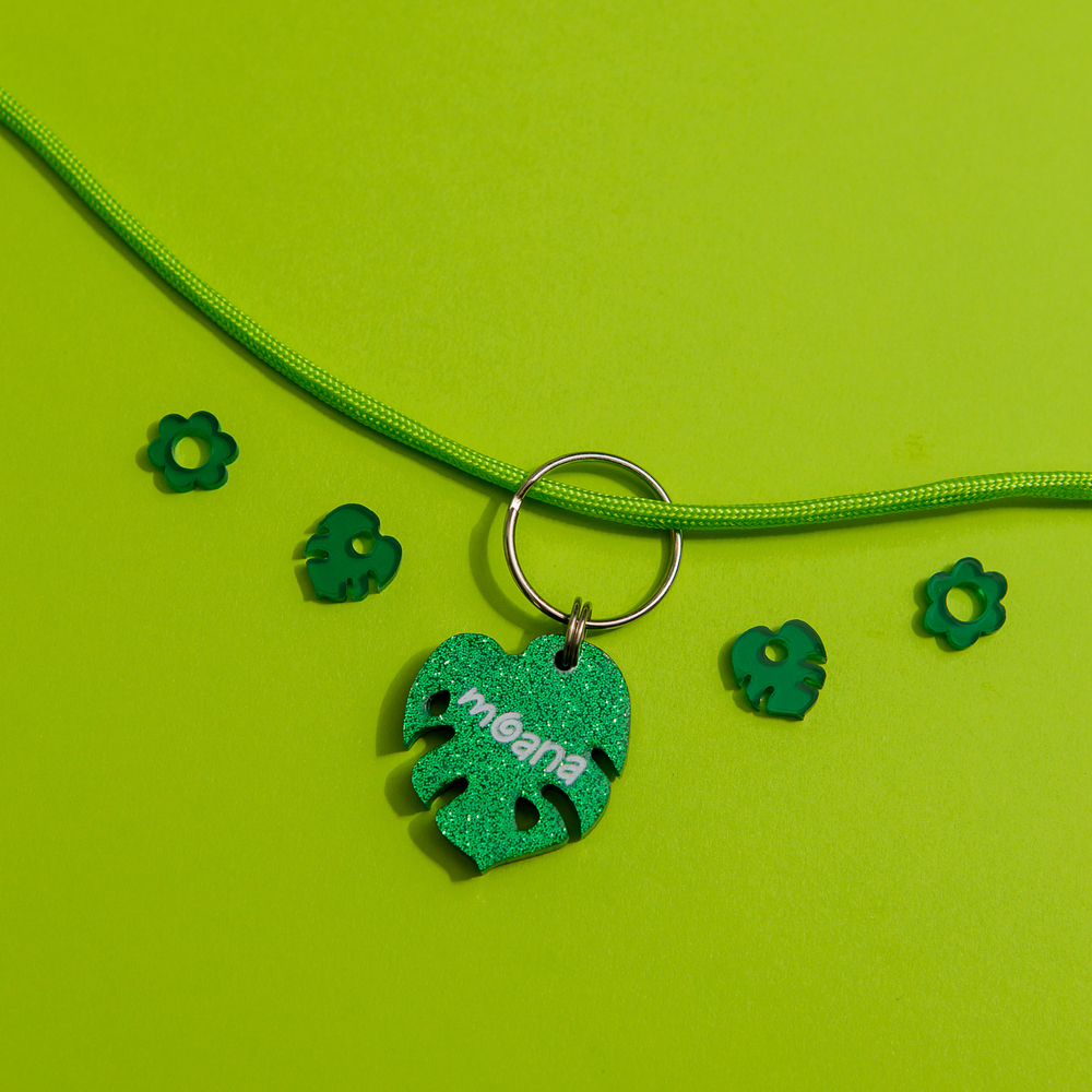 Лист монстерры