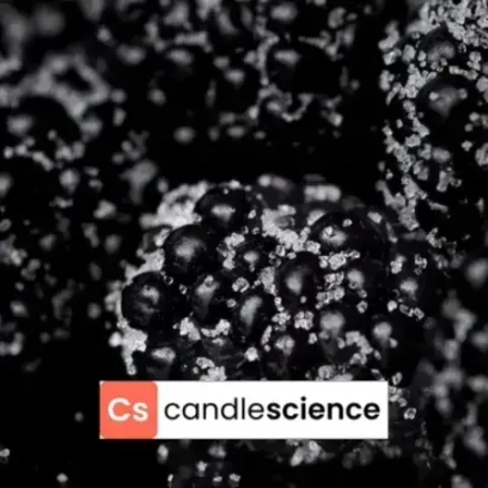 CS - 22 - Midnight Blackberry - Полуночная ежевика