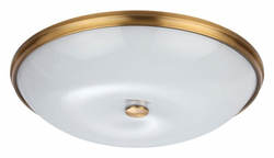 Накладной светильник Odeon Light 4956/6