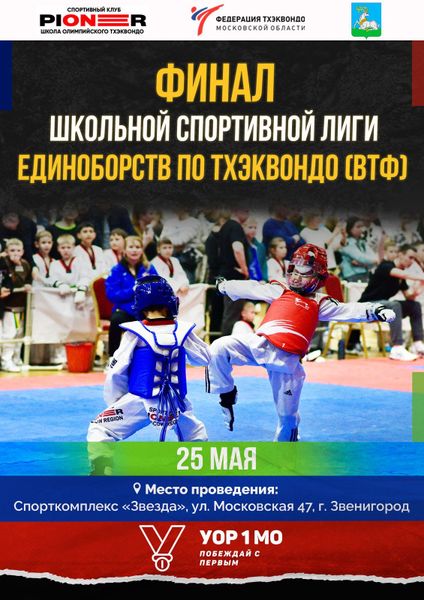 Открытый Фестиваль  «Финал Школьной Лиги Тхэквондо»