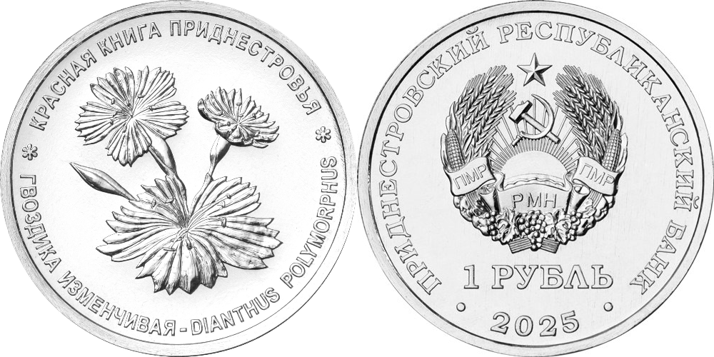 Приднестровье 1 рубль, 2025 Гвоздика-изменчивая