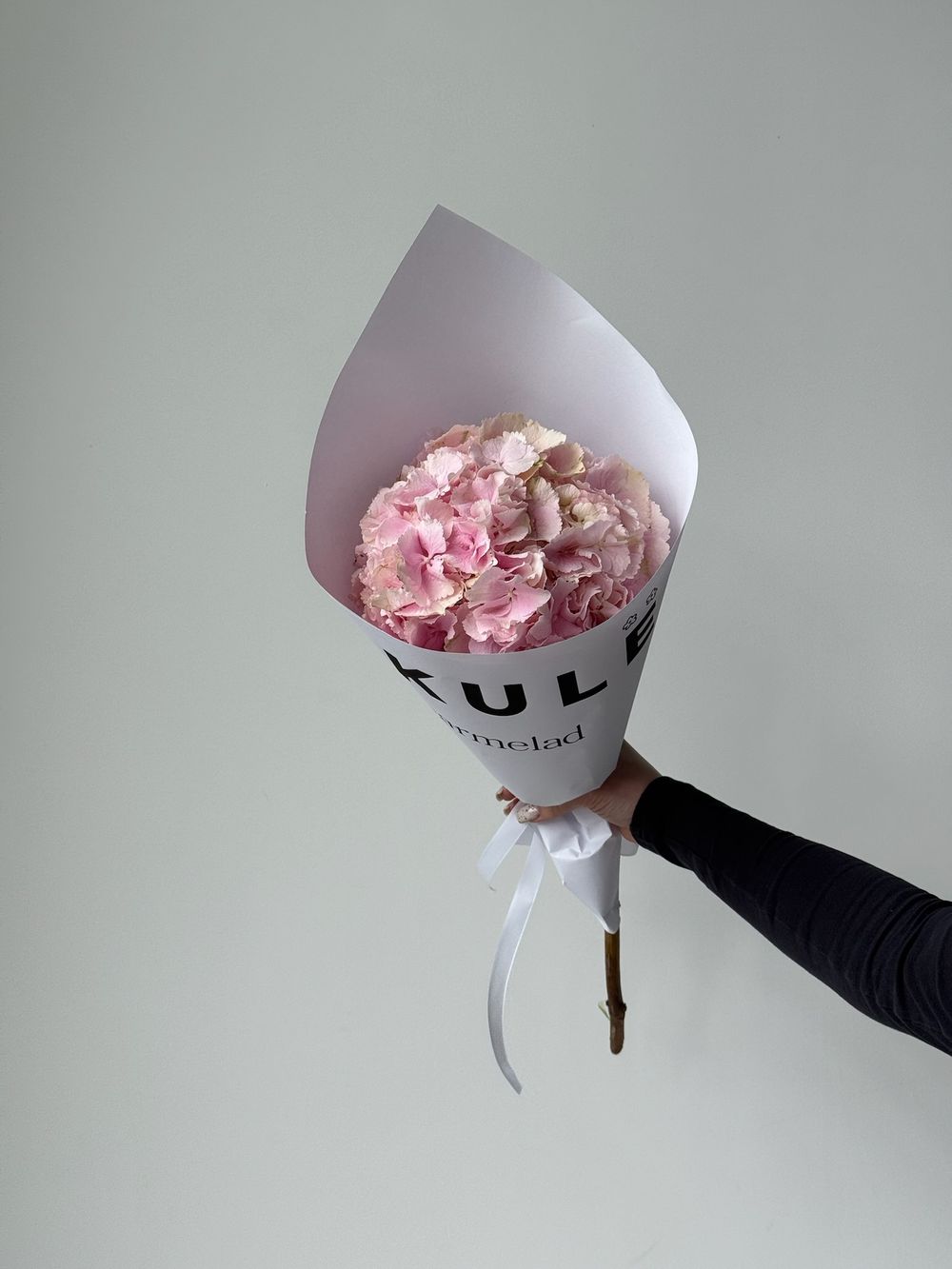 Кулек из розовой гортензии