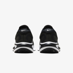 Кроссовки женские NIKE W NIKE JOURNEY RUN