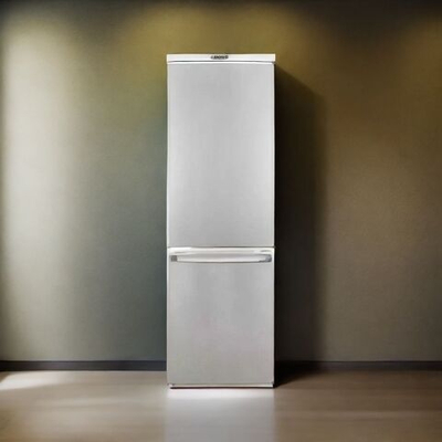 Холодильник DON R-291 NG