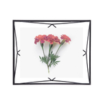 Фоторамка prisma, 20х25, черная