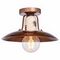 Потолочный светильник Lussole Loft Vermilion GRLSP-8161