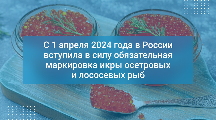С 1 апреля 2024 года в России вступила в силу обязательная маркировка икры осетровых и лососевых рыб