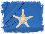 Морская звезда для декора