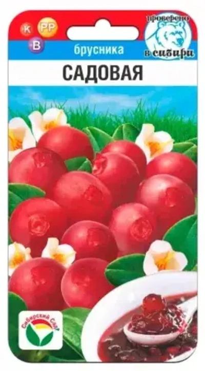 Брусника Садовая 10шт (Сиб Сад)