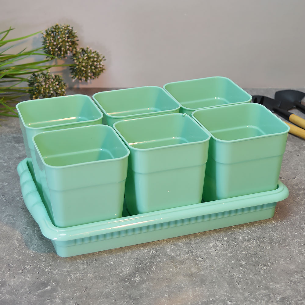 Ящик для рассады на 6 стаканчиков 460мл с поддоном "Дом и Дача"