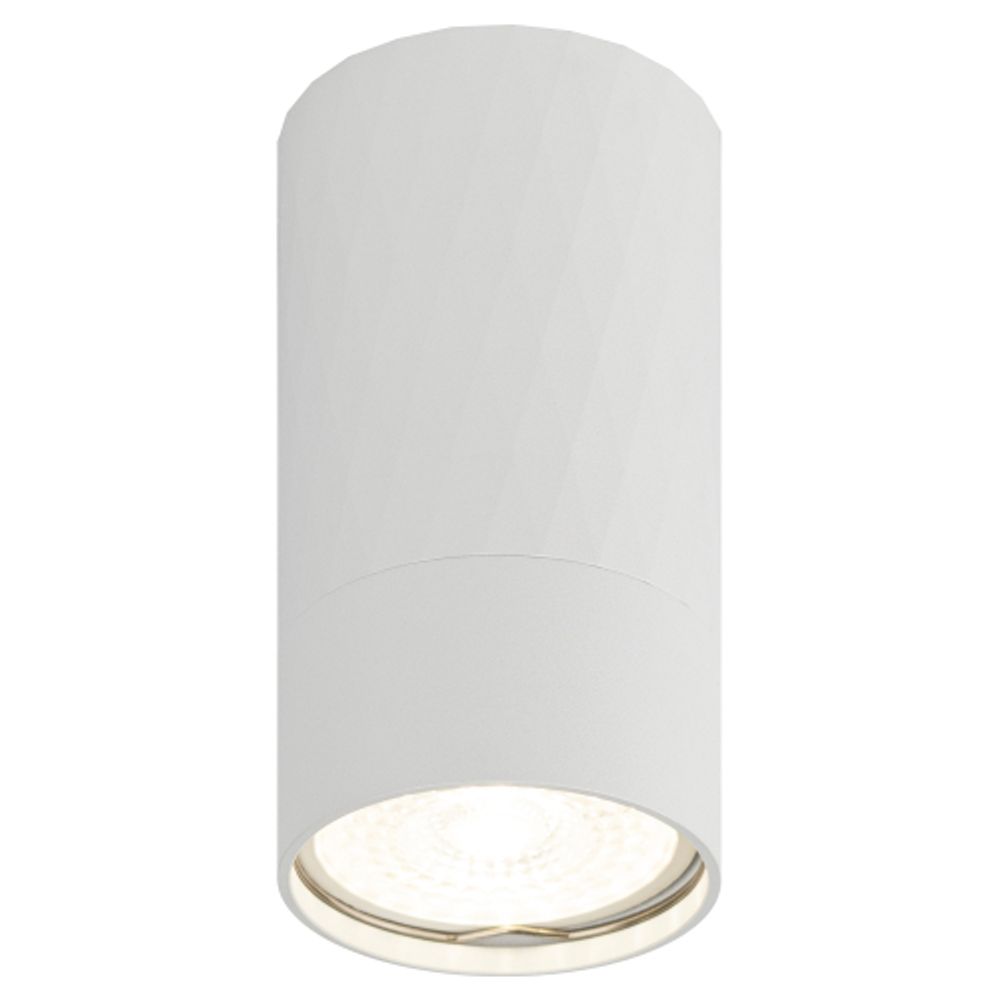 Светильник настенно-потолочный спот ЭРА OL31 WH MR16 GU10 IP20 белый | Накладные светильники