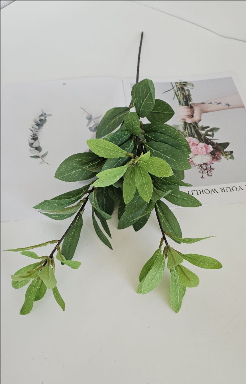 Эвкалипт / Арт 1252