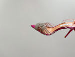 Aquazzura Pumps 10 cm