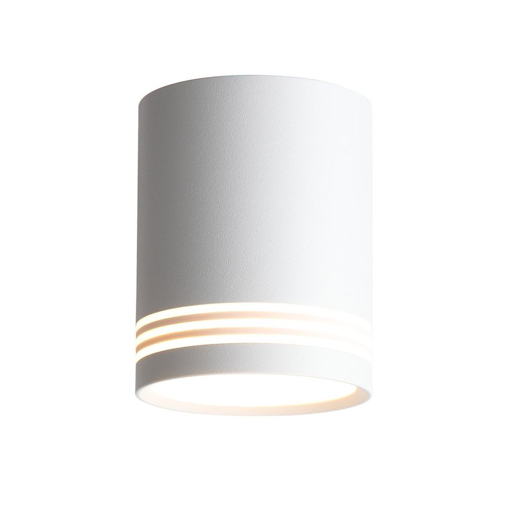 ST101.502.12 Светильник потолочный Белый LED 1*12W 3000K 936Lm Ra&amp;gt;80 120° IP20 D79xH100 170-240V Накладные светильники