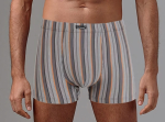 Классические трусы-боксеры в полоску (Размер: L) (Цвет: кофейный)