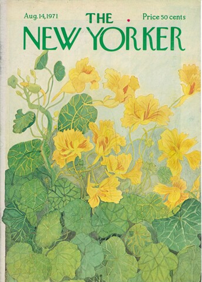Журнал The New Yorker 14-08-1971, обложка поврежденная