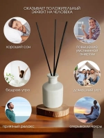 Диффузор для дома по мотивам Hugo Boss Just Different