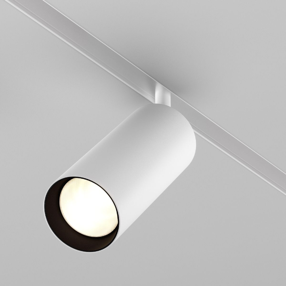 Трековый светильник Maytoni Technical TR032-2-20W3K-S-W