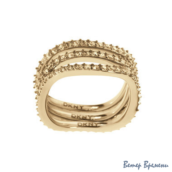 Бижутерия DKNY NJ1920040 (180)