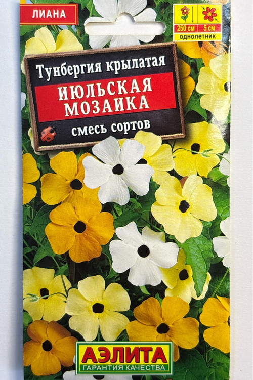 Тунбергия Июльская мозаика, смесь сортов СМЦ-796