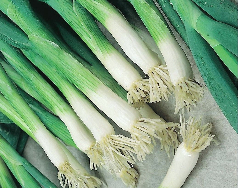 Лук на зелень Эверест 0,5г Мировые Семена VITA GREEN