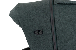 Коляска Chicco Bellagio 2 в 1 Fir Tree