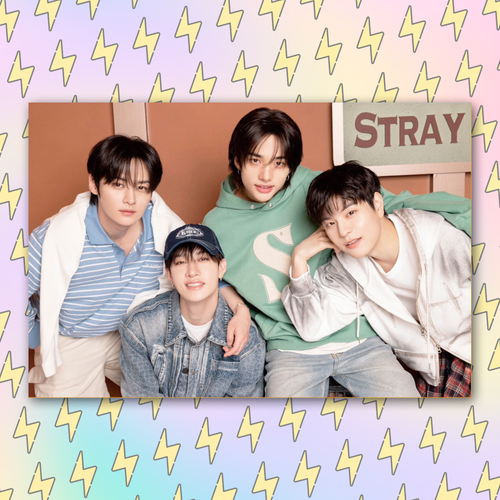 Плюшка / Открытка #070 / STRAY KIDS