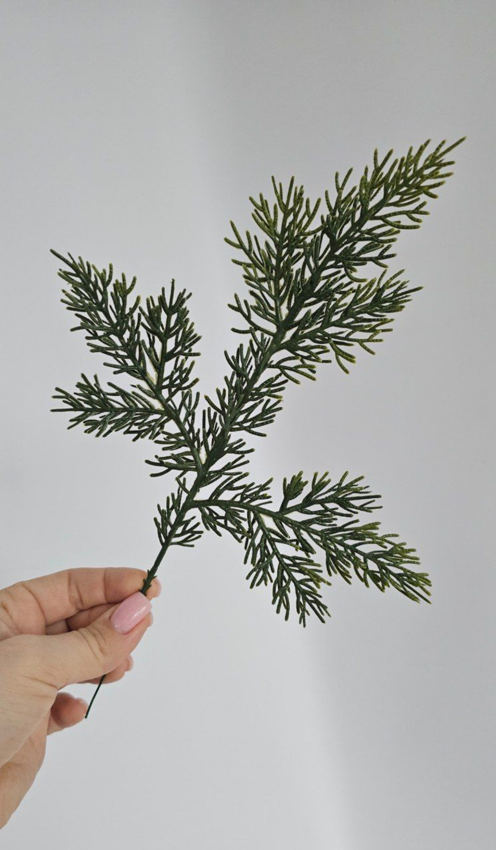 Ветка туи одиночная / Арт 5159