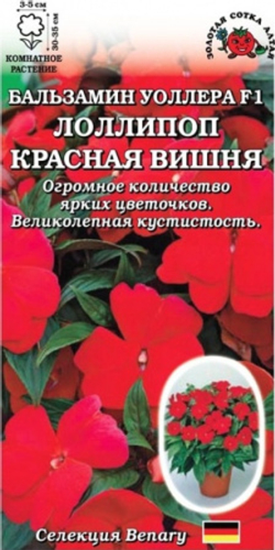 Бальзамин семена