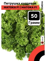 Петрушка Матока F1