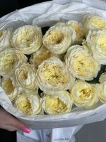 Монобукет из кустовой пионовидной розы желтого оттенка