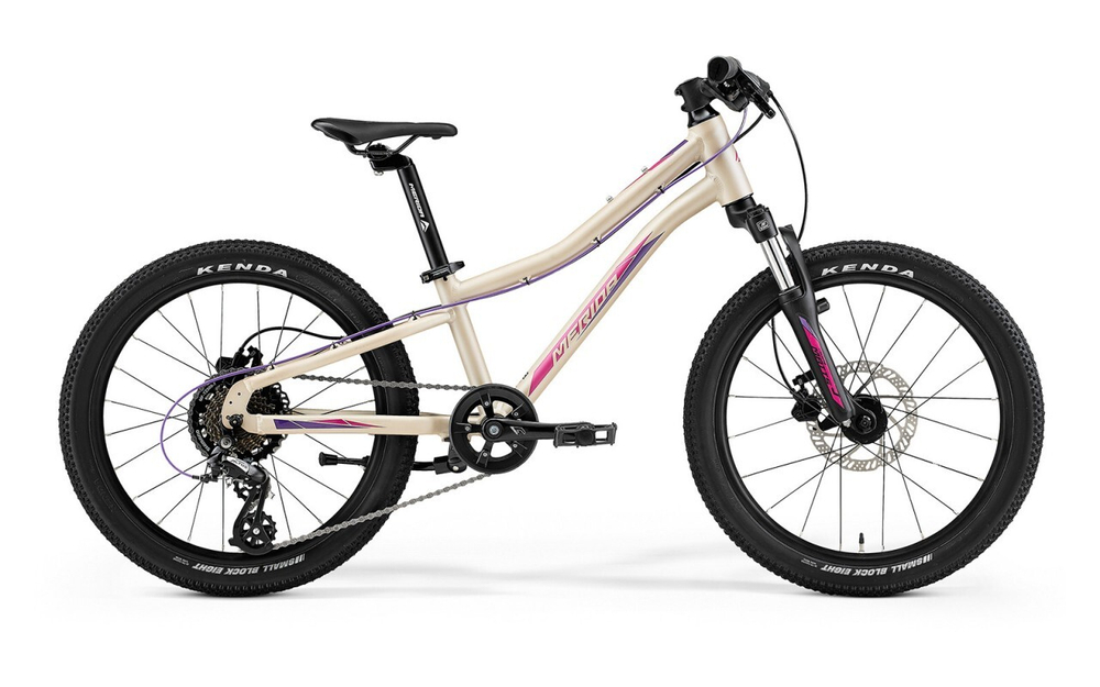 Детский велосипед Merida Matts J.20 (2021)