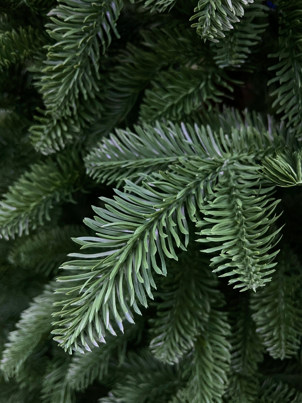 Ель Нормандия 100% литая стройная 215см темно-зеленая Triumph Tree