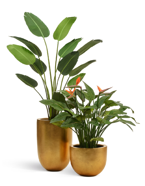 Кашпо TREEZ Effectory Metal Низкая конус-чаша Сусальное золото в-37, д-46 см 41.3319-04-027-GLD-46