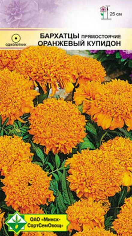 Бархатцы "Оранжевый Купидон" 0.3г., Германия.