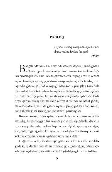 Bir gəncin manifesti