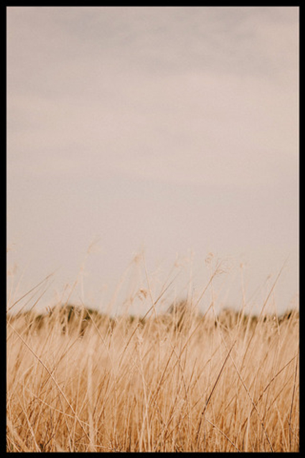 Интерьерная картина в технике цифровой печати. АРТ 061 Природа