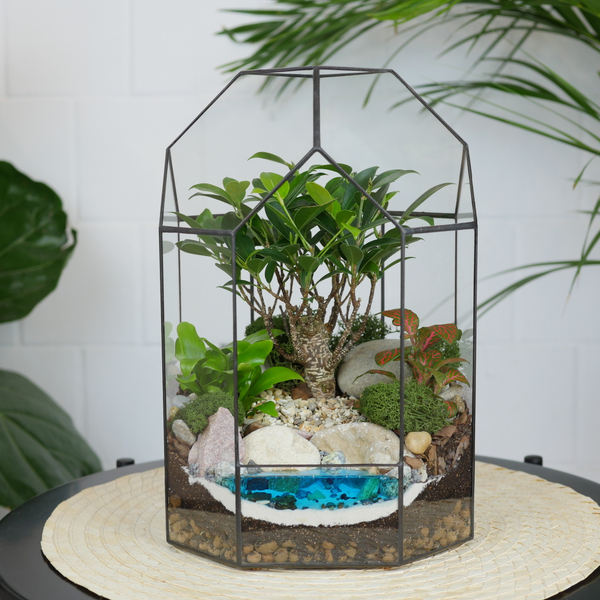 Готовый флорариум бонсай Фикус Бонсариум с озером